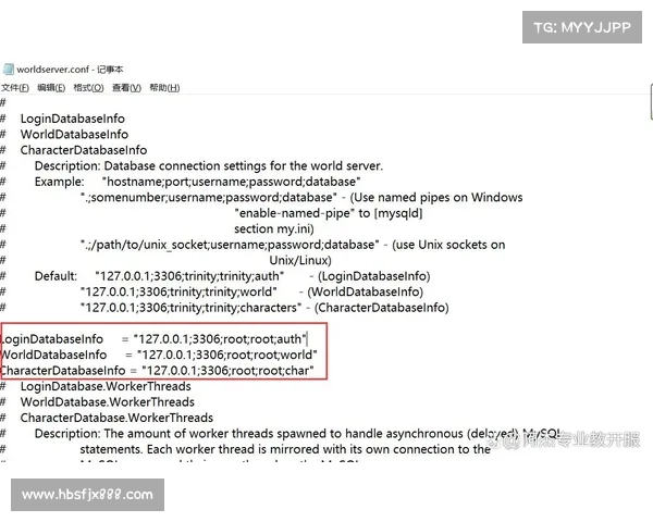 魔兽世界数据库版本修改指南